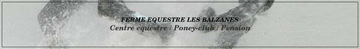 FERME EQUESTRE LES BALZANES